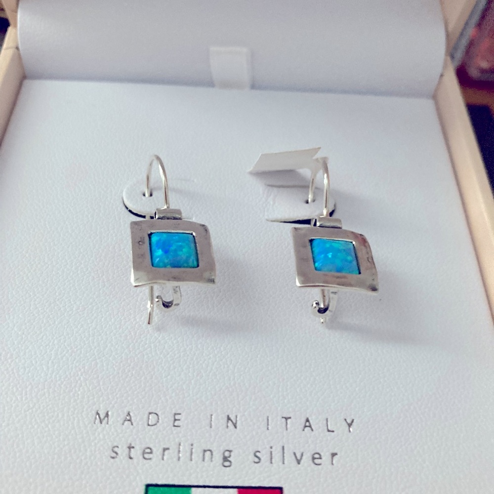 Italy Sterling Silver Earrings